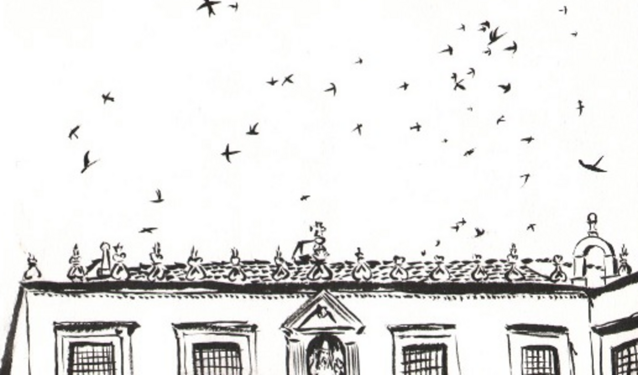Pen-and-ink sketch of swallows wheeling above the rooftops of Dubrovnik